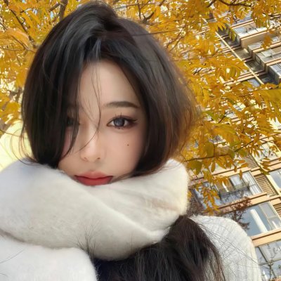 贝尔吉卡
